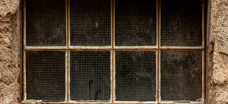 Traditional Double Front Doors in The Villages, FL