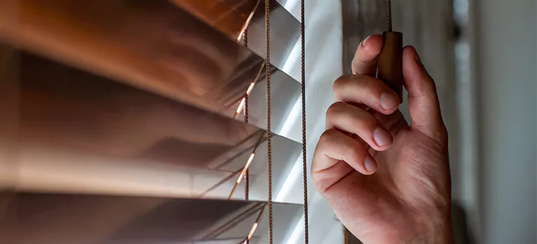 Double Roller Blinds in The Villages, FL