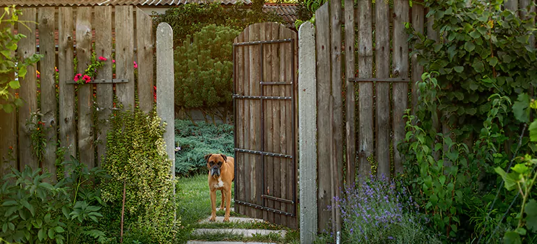 Winter Garden Garage Door Repair in The Villages,[location field=state]