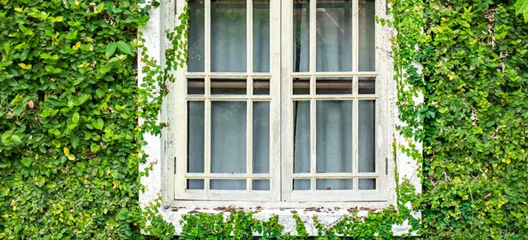 Garden Window Repair Near Me in The Villages, FL