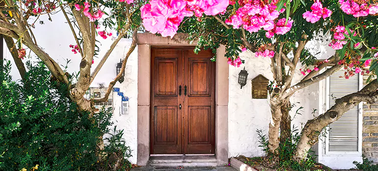 Traditional 4 Panel Internal Doors in The Villages, FL