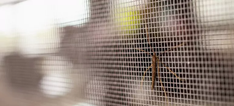 Repair Mosquito Mesh For Windows in The Villages, FL