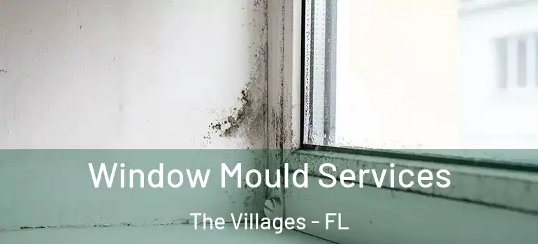 Window Mould Services The Villages - FL